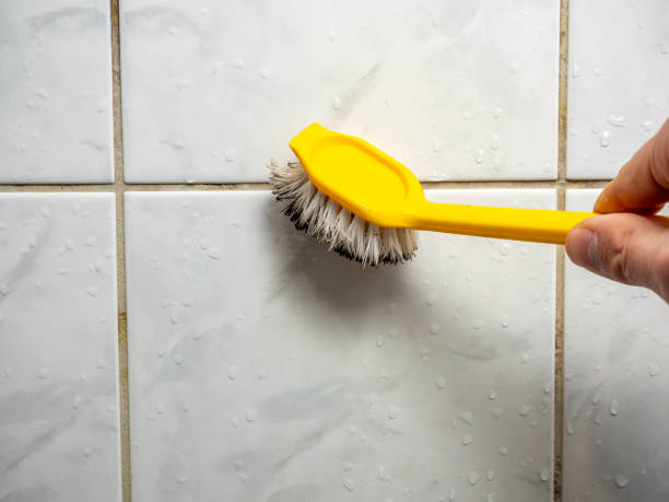 Best Preventive Mold Services in Mendon, IL