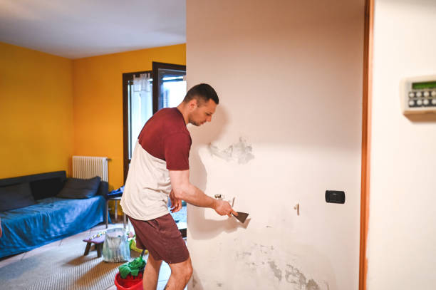 Best Residential Mold Remediation in Mendon, IL